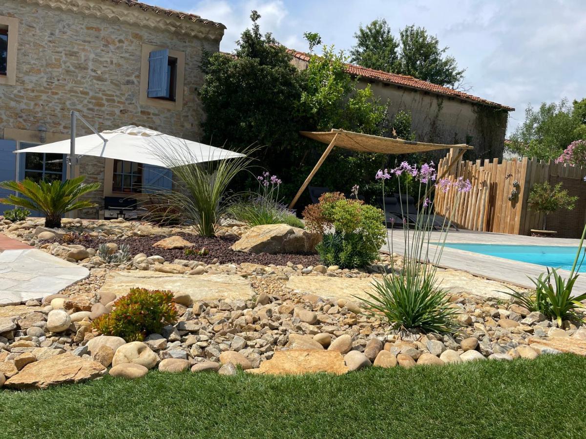 Vila Mas Provencale Jardin Piscine Saint-Cyr-sur-Mer Exteriér fotografie